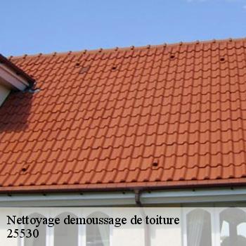 Nettoyage demoussage de toiture