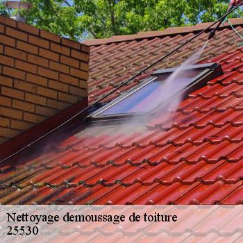 Nettoyage demoussage de toiture