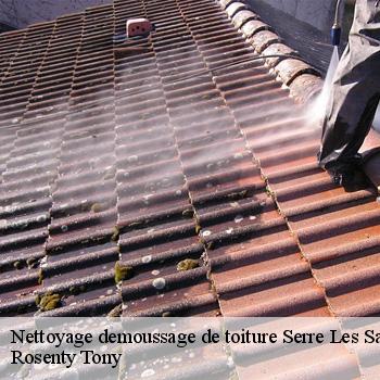 Nettoyage demoussage de toiture