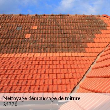 Nettoyage demoussage de toiture