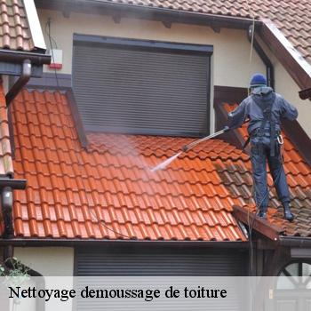 Nettoyage demoussage de toiture