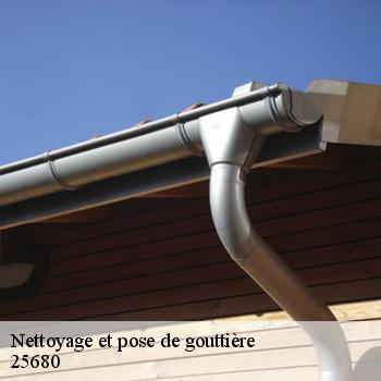 Nettoyage et pose de gouttière