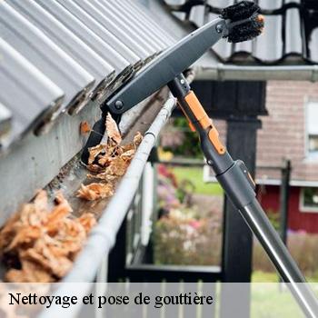 Nettoyage et pose de gouttière