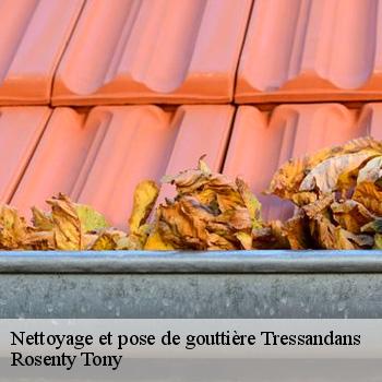 Nettoyage et pose de gouttière