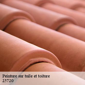 Peinture sur tuile et toiture