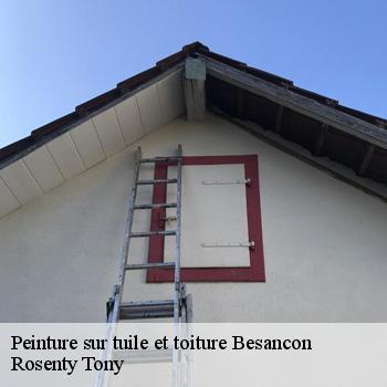 Peinture sur tuile et toiture