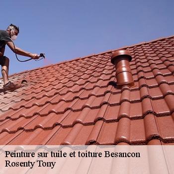 Peinture sur tuile et toiture