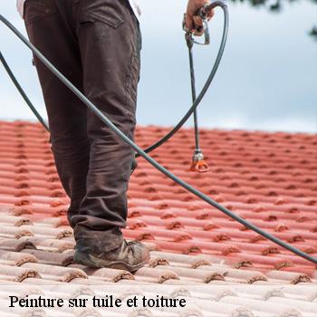 Peinture sur tuile et toiture