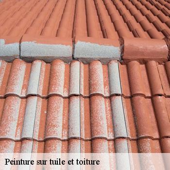 Peinture sur tuile et toiture