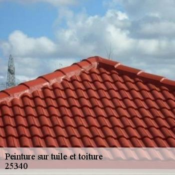 Peinture sur tuile et toiture