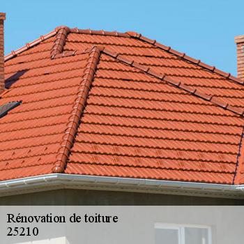 Rénovation de toiture