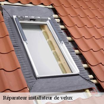 Réparateur installateur de velux