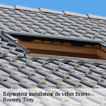 Réparateur installateur de velux