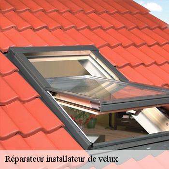 Réparateur installateur de velux