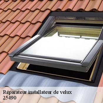 Réparateur installateur de velux