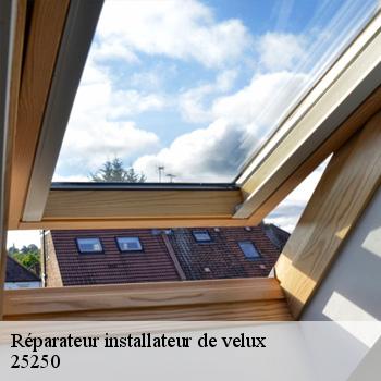 Réparateur installateur de velux