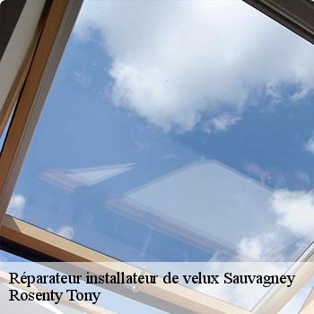 Réparateur installateur de velux